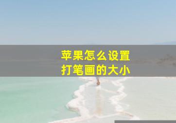 苹果怎么设置打笔画的大小