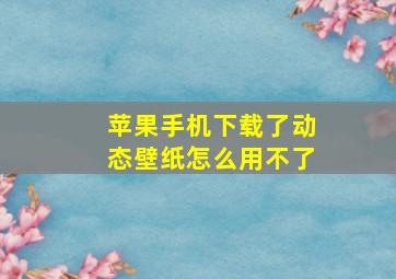 苹果手机下载了动态壁纸怎么用不了