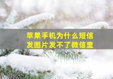 苹果手机为什么短信发图片发不了微信里