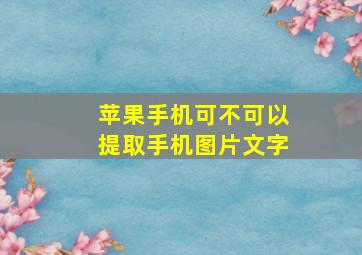 苹果手机可不可以提取手机图片文字