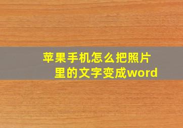 苹果手机怎么把照片里的文字变成word