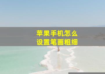 苹果手机怎么设置笔画粗细