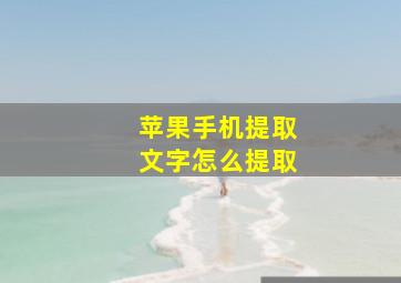 苹果手机提取文字怎么提取