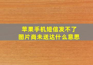 苹果手机短信发不了图片尚未送达什么意思