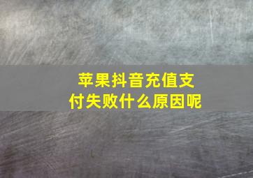 苹果抖音充值支付失败什么原因呢