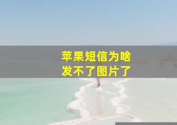 苹果短信为啥发不了图片了