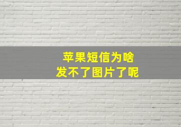 苹果短信为啥发不了图片了呢