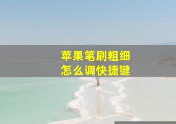 苹果笔刷粗细怎么调快捷键