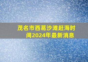 茂名市西葛沙滩赶海时间2024年最新消息