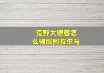 荒野大镖客怎么驯服阿拉伯马