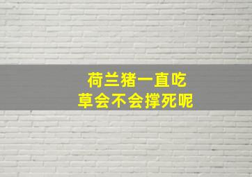 荷兰猪一直吃草会不会撑死呢