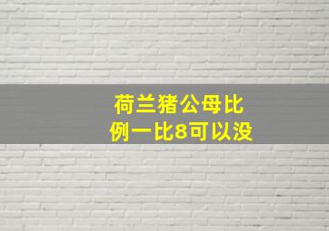 荷兰猪公母比例一比8可以没