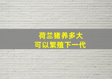 荷兰猪养多大可以繁殖下一代