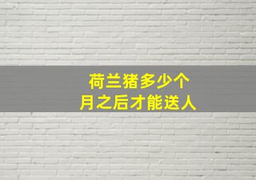 荷兰猪多少个月之后才能送人