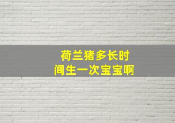 荷兰猪多长时间生一次宝宝啊