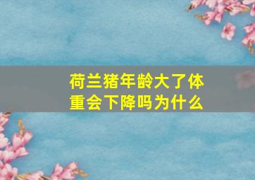 荷兰猪年龄大了体重会下降吗为什么