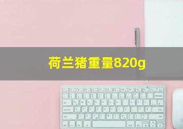 荷兰猪重量820g