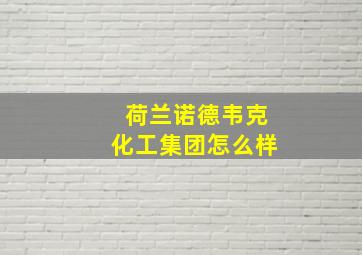 荷兰诺德韦克化工集团怎么样