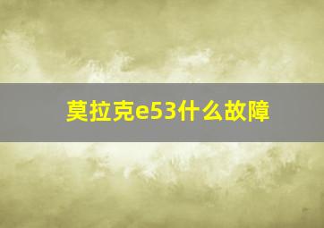 莫拉克e53什么故障