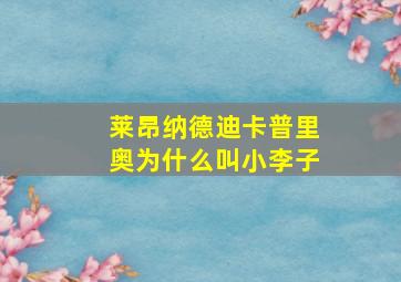 莱昂纳德迪卡普里奥为什么叫小李子