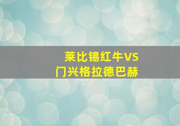 莱比锡红牛VS门兴格拉德巴赫