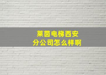 莱茵电梯西安分公司怎么样啊