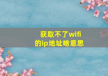 获取不了wifi的ip地址啥意思