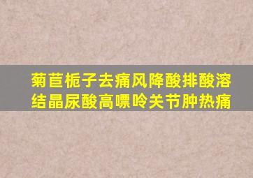 菊苣栀子去痛风降酸排酸溶结晶尿酸高嘌呤关节肿热痛