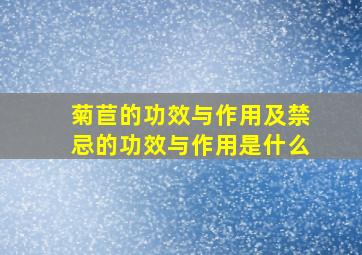 菊苣的功效与作用及禁忌的功效与作用是什么