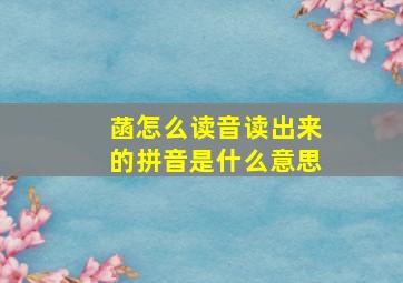 菡怎么读音读出来的拼音是什么意思