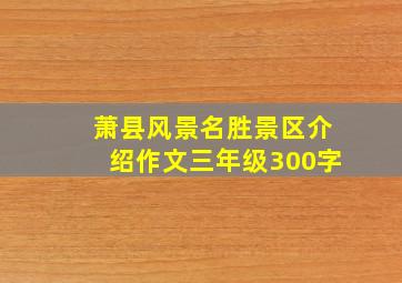 萧县风景名胜景区介绍作文三年级300字