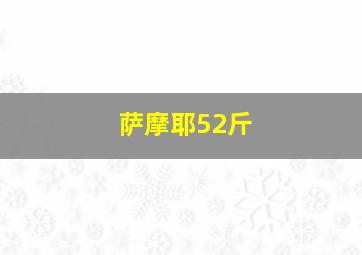 萨摩耶52斤