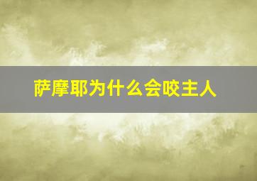 萨摩耶为什么会咬主人