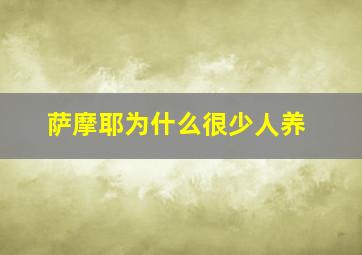 萨摩耶为什么很少人养