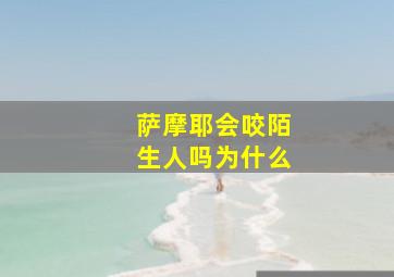 萨摩耶会咬陌生人吗为什么