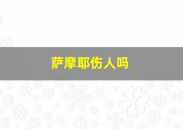 萨摩耶伤人吗