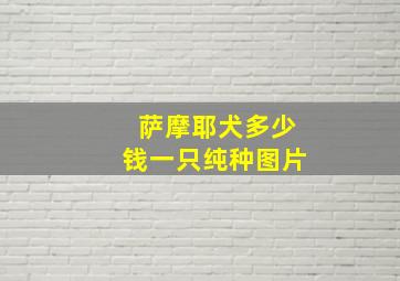 萨摩耶犬多少钱一只纯种图片