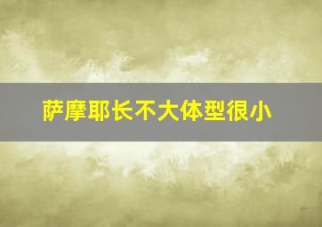 萨摩耶长不大体型很小