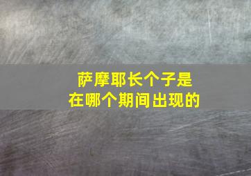 萨摩耶长个子是在哪个期间出现的