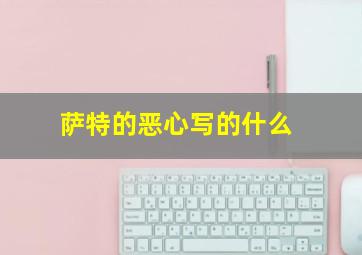 萨特的恶心写的什么