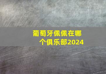 葡萄牙佩佩在哪个俱乐部2024