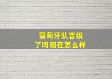 葡萄牙队晋级了吗现在怎么样