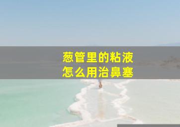 葱管里的粘液怎么用治鼻塞