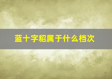 蓝十字貂属于什么档次