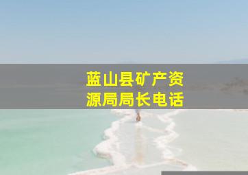 蓝山县矿产资源局局长电话