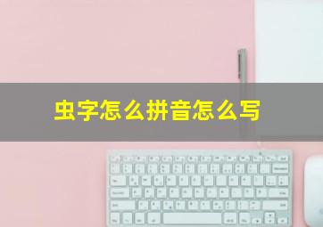 虫字怎么拼音怎么写