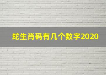 蛇生肖码有几个数字2020