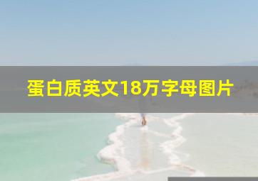 蛋白质英文18万字母图片