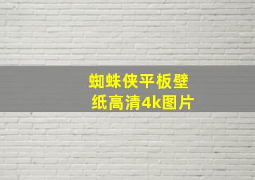 蜘蛛侠平板壁纸高清4k图片