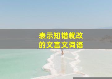 表示知错就改的文言文词语